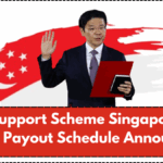 Silver Support Scheme Singapore: July 2025 Payout Schedule Announced