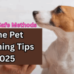 Home Pet Grooming Tips 2025 – Easy & Safe Methods