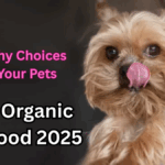 Best Organic Pet Food 2025 – Healthy Choices for Your Pets