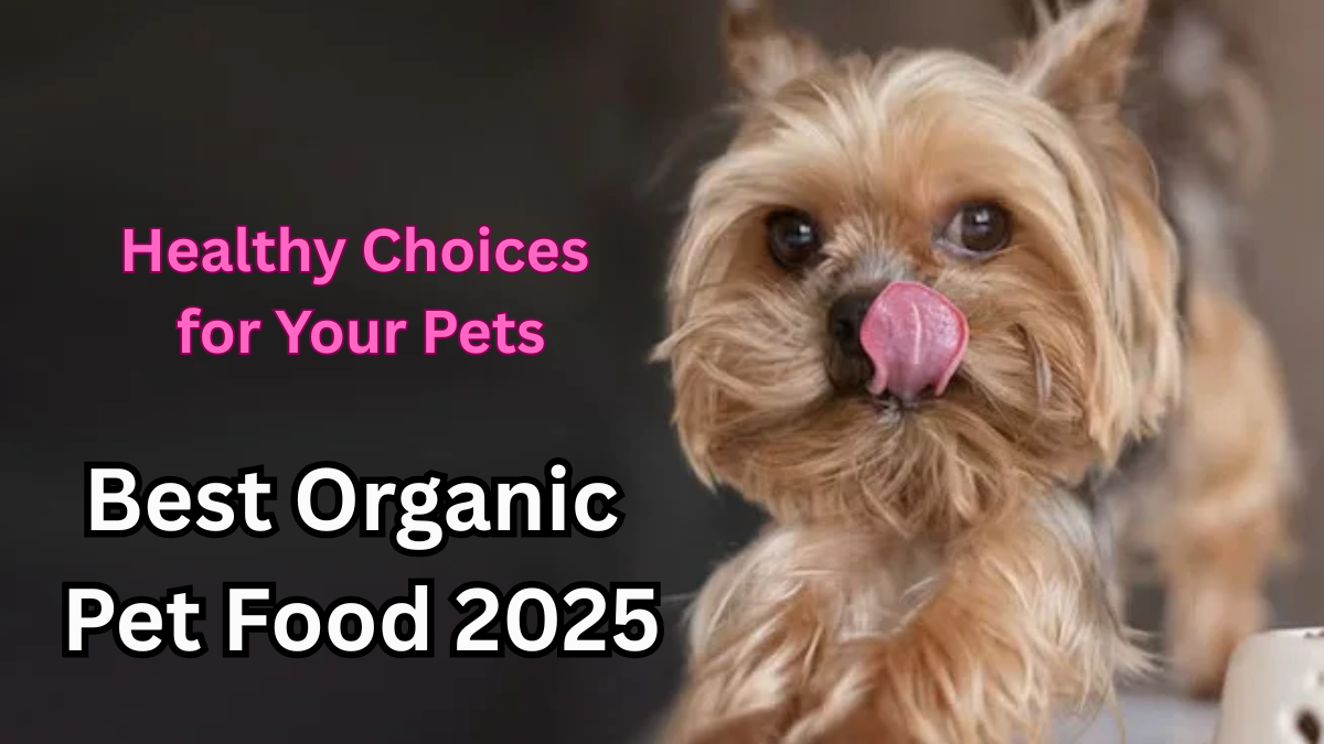 Best Organic Pet Food 2025 – Healthy Choices for Your Pets