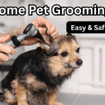 Home Pet Grooming Tips 2025 – Easy & Safe Methods