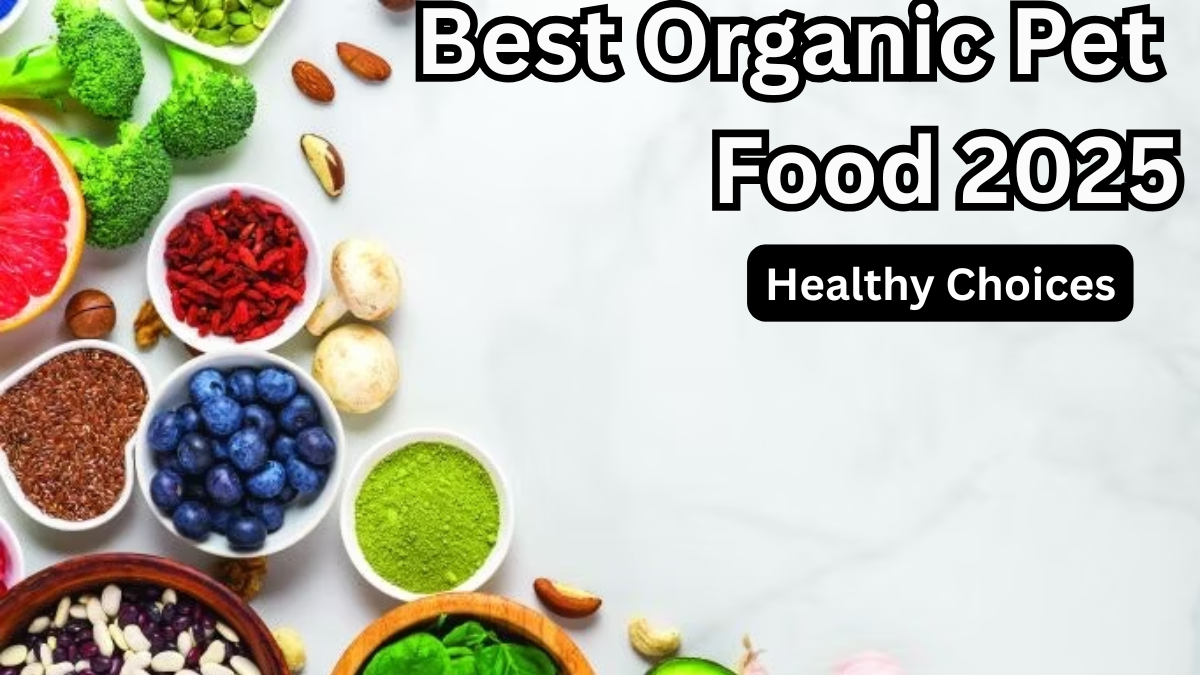 Best Organic Pet Food 2025 – Healthy Choices