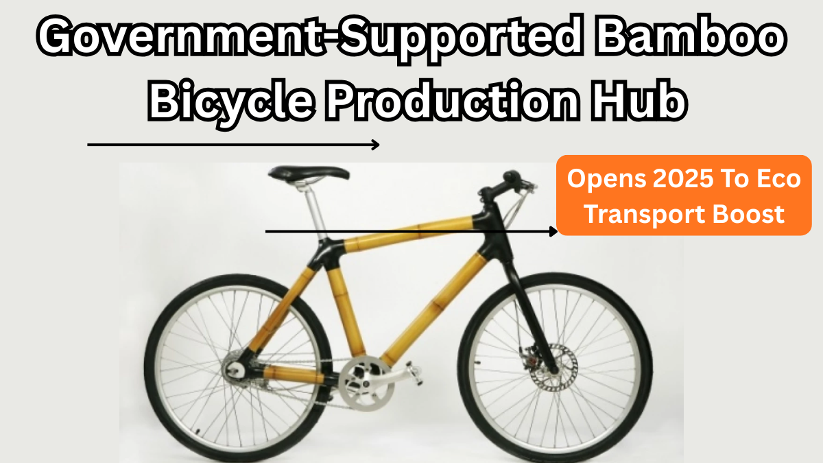 Government-Supported Bamboo Bicycle Production Hub Opens 2025 – Eco Transport Boost